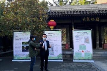 北京西城区：实施道路林荫三年行动计划，打造安全健康绿色街区